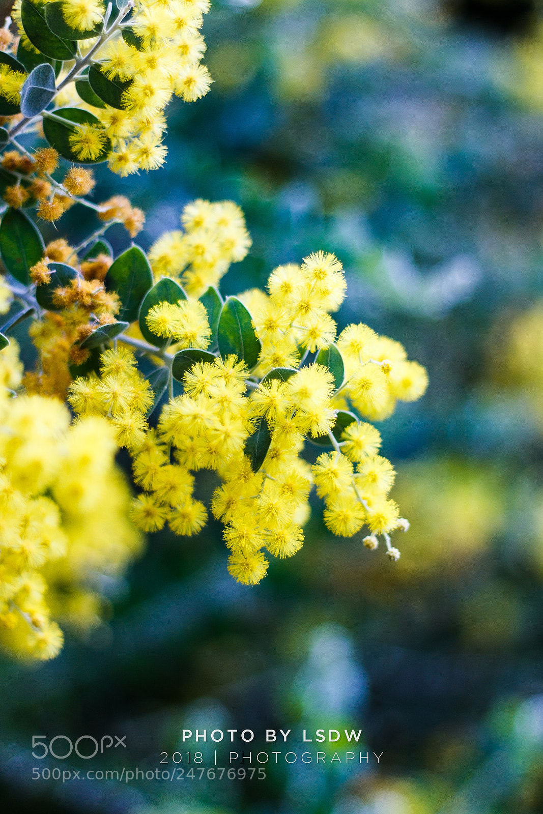 Canon EOS 60D sample photo. Untitled photography