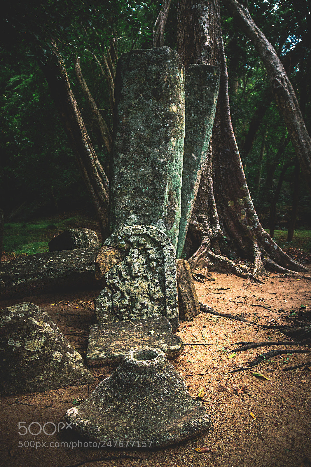 Canon EOS 600D (Rebel EOS T3i / EOS Kiss X5) sample photo. The forgotten temple #29 photography
