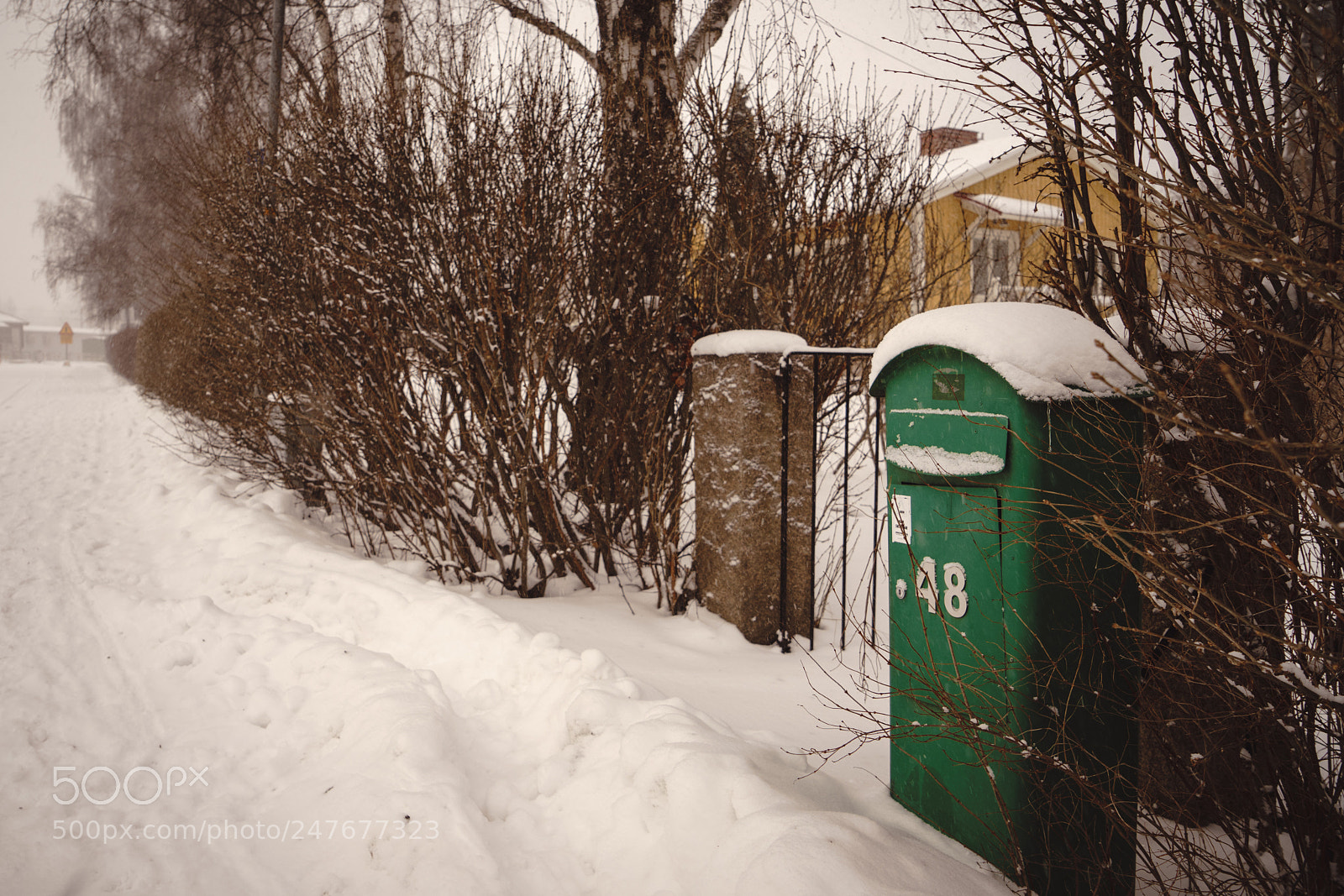 Sony a7 II sample photo. 48 photography