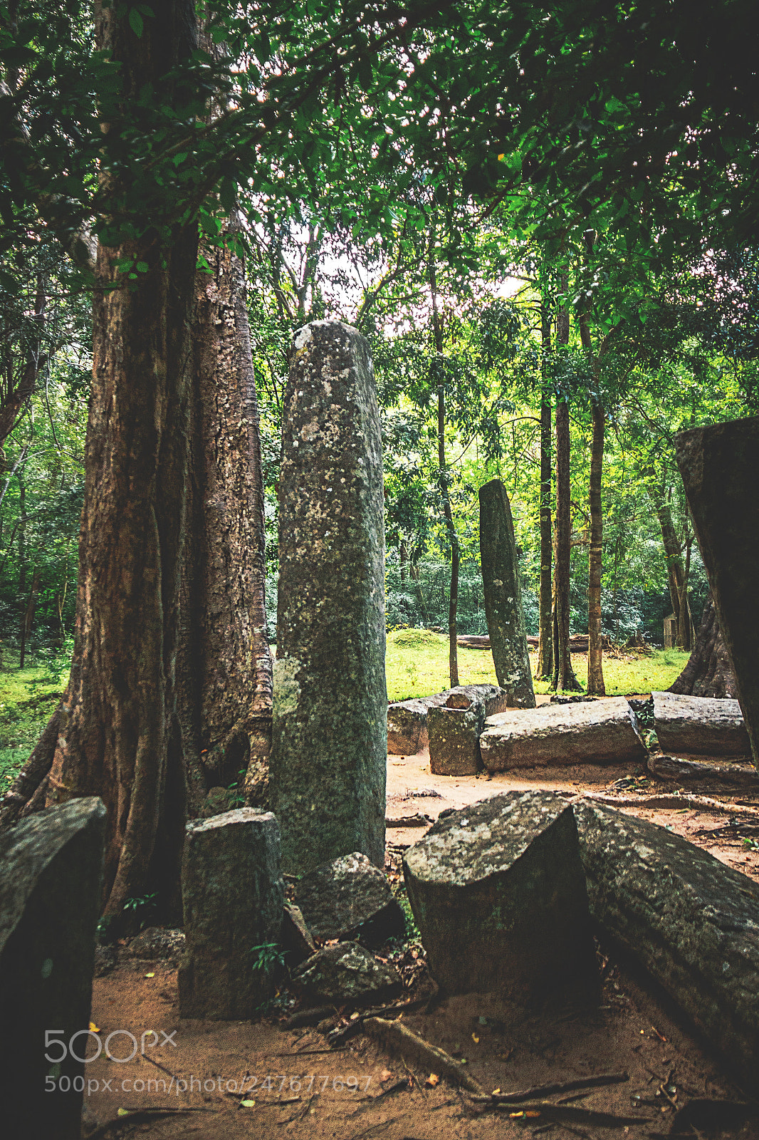 Canon EOS 600D (Rebel EOS T3i / EOS Kiss X5) sample photo. The forgotten temple #30 photography
