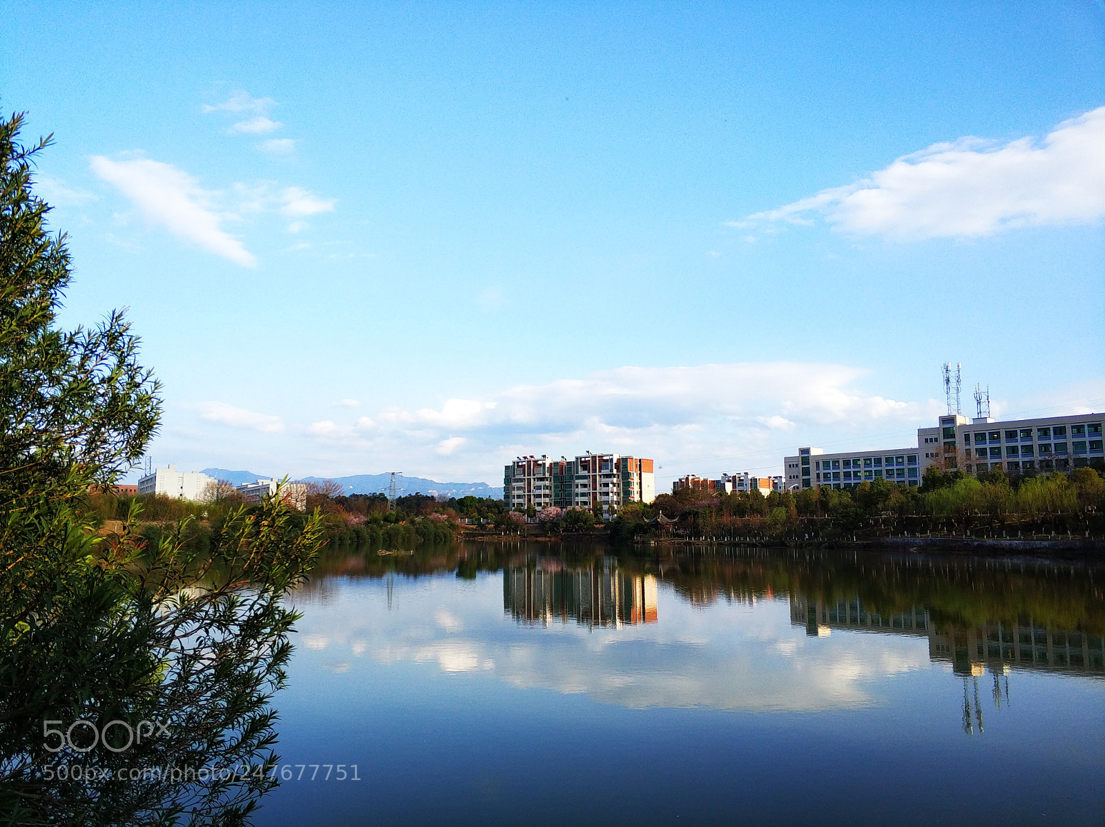 Xiaomi MI6 sample photo. Untitled photography