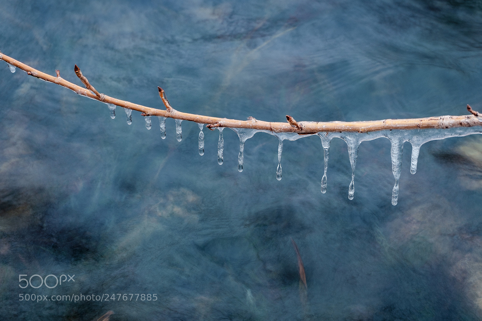 Fujifilm X-T10 sample photo. Frozen photography