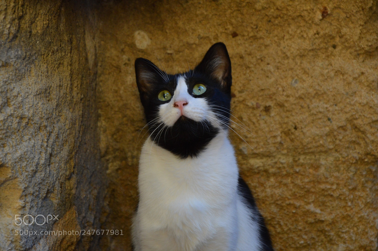 Nikon D3200 sample photo. Untitled photography