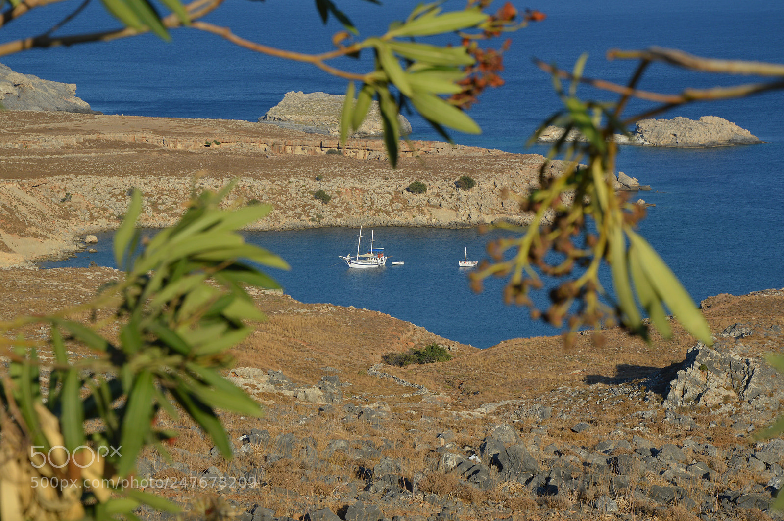 Nikon D3200 sample photo. Untitled photography