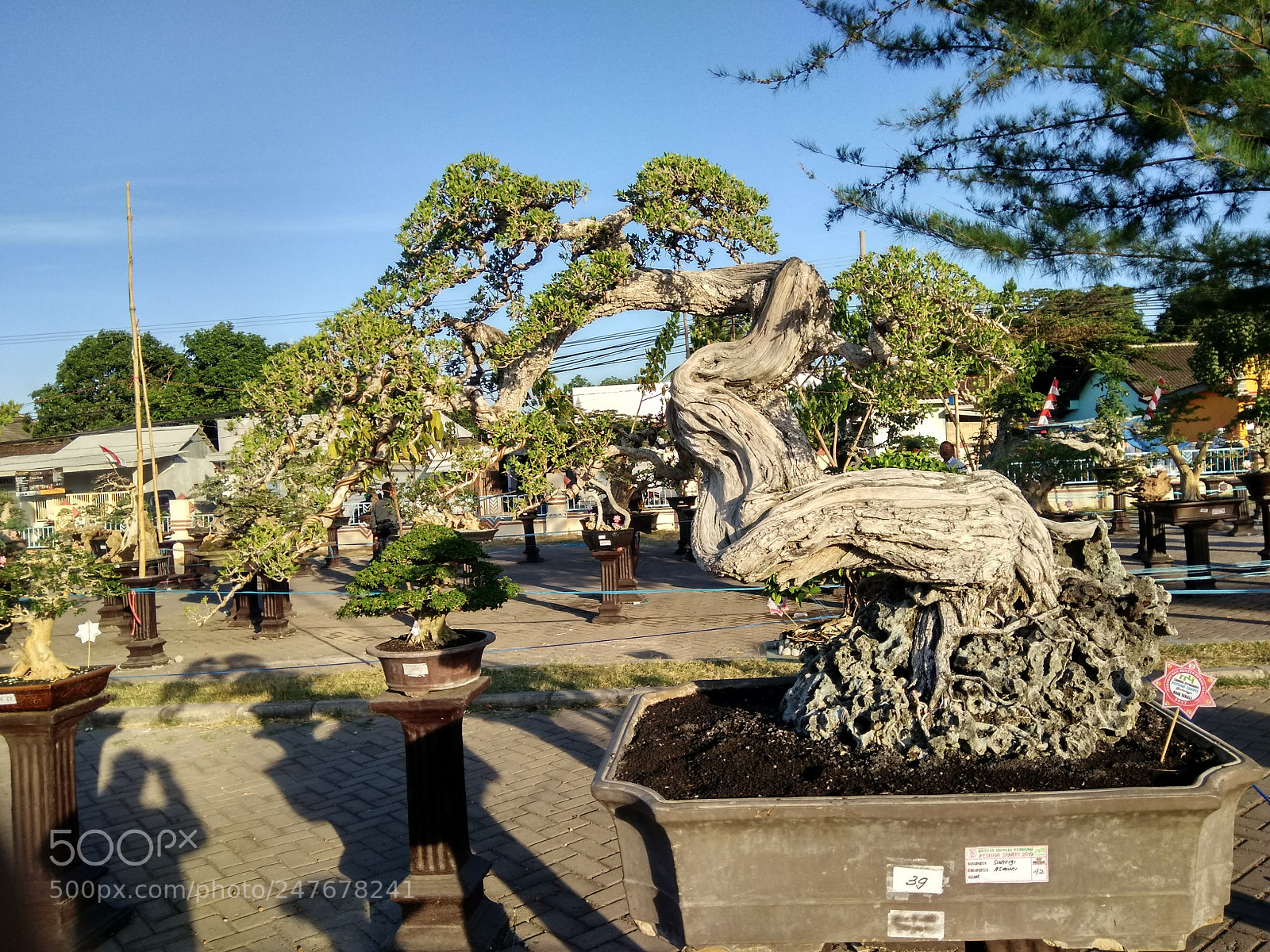 Xiaomi Redmi Note 4X sample photo. Hdr photography