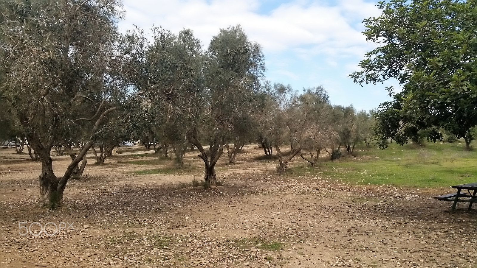 Samsung Galaxy Note Edge sample photo. The caves of beit jovrin photography