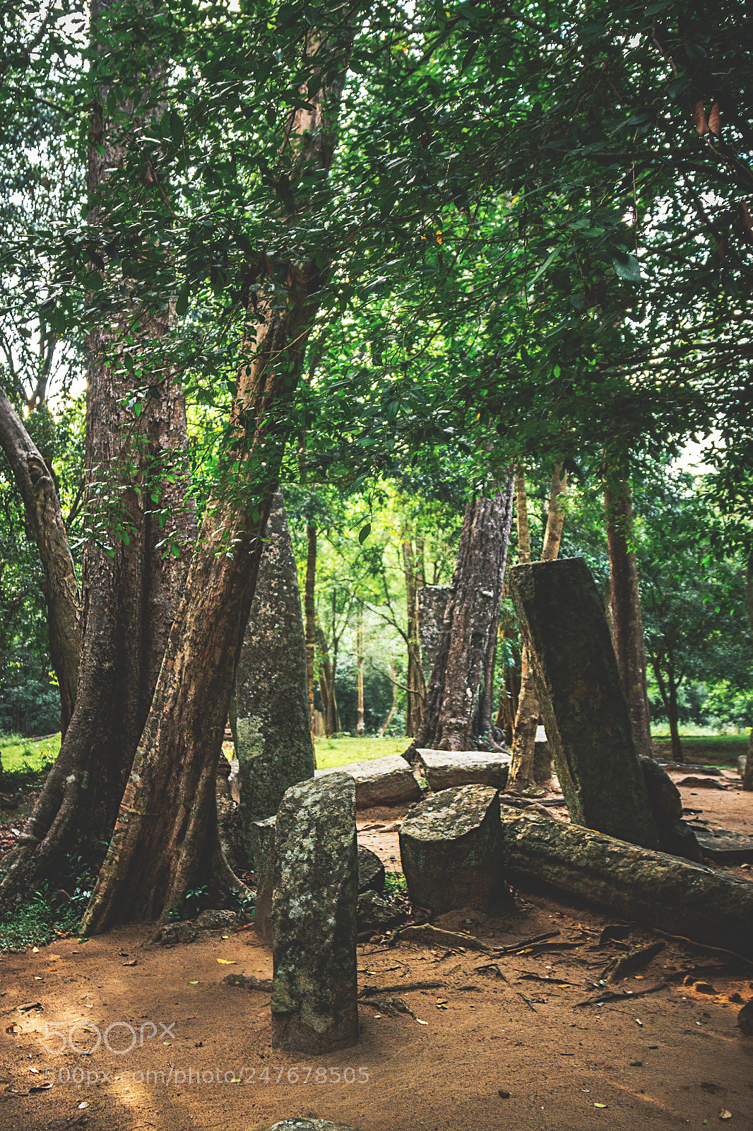 Canon EOS 600D (Rebel EOS T3i / EOS Kiss X5) sample photo. The forgotten temple #31 photography