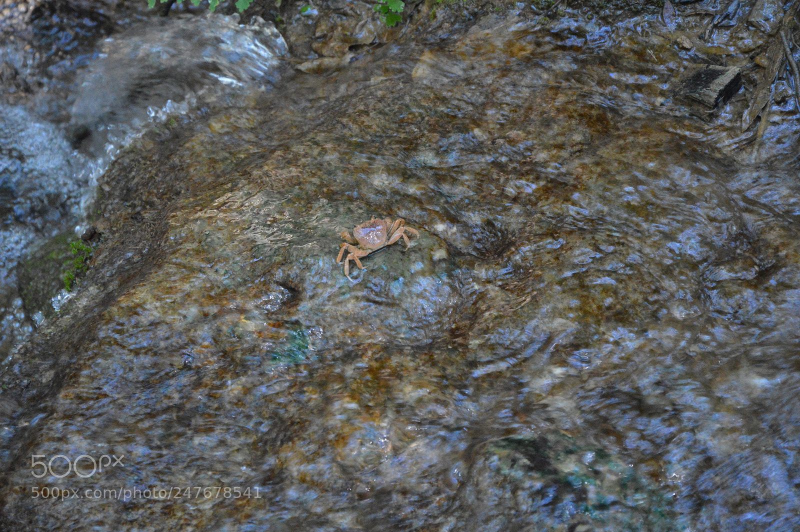 Nikon D3200 sample photo. Untitled photography