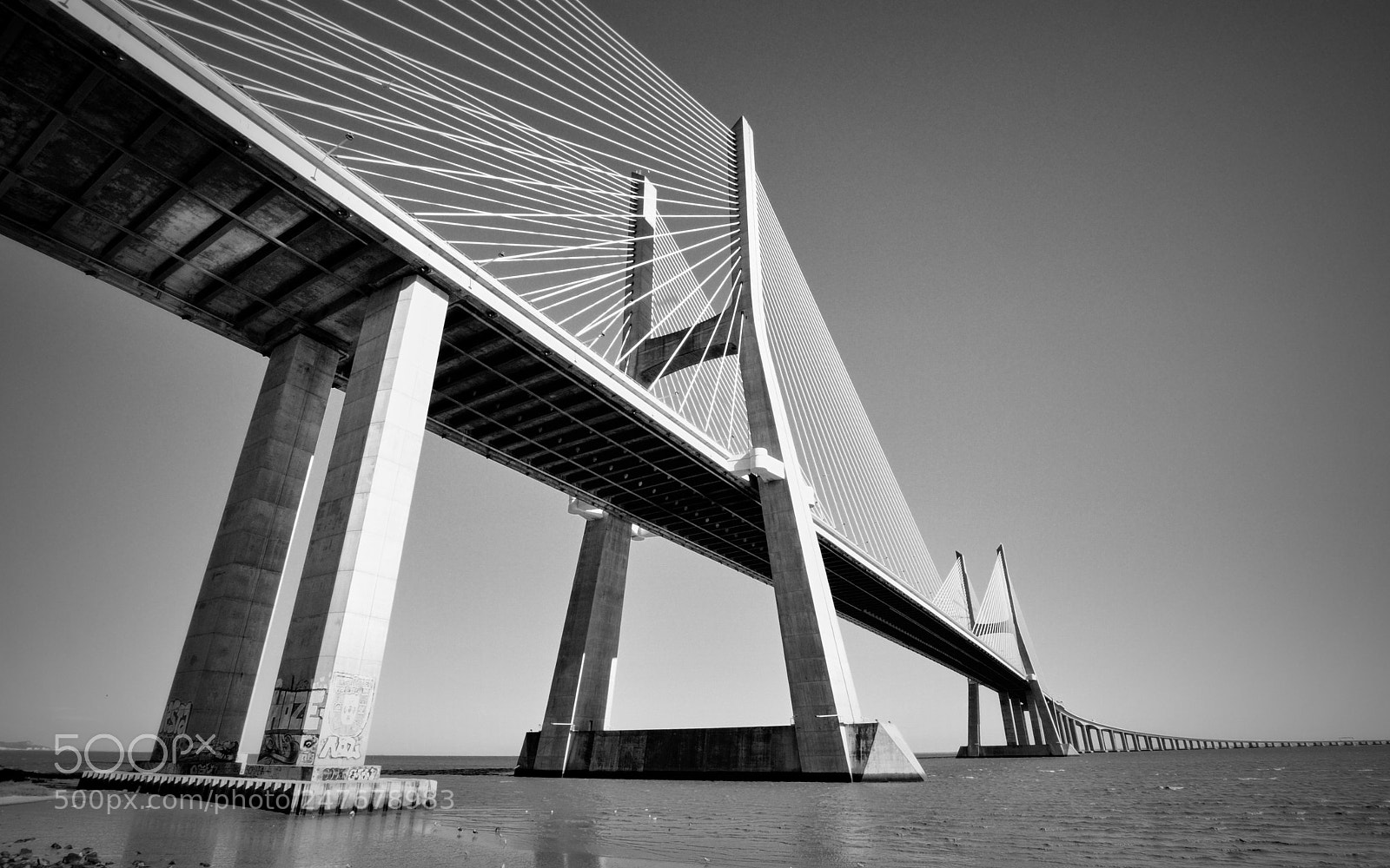Nikon D5000 sample photo. Black & white photography