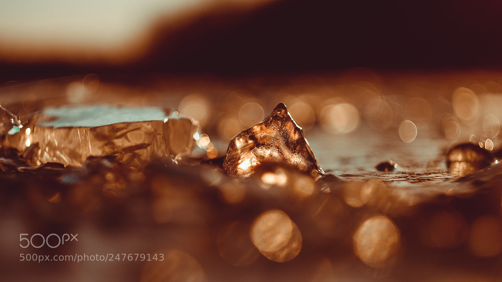 Fujifilm X-T1 sample photo. Bokeh photography