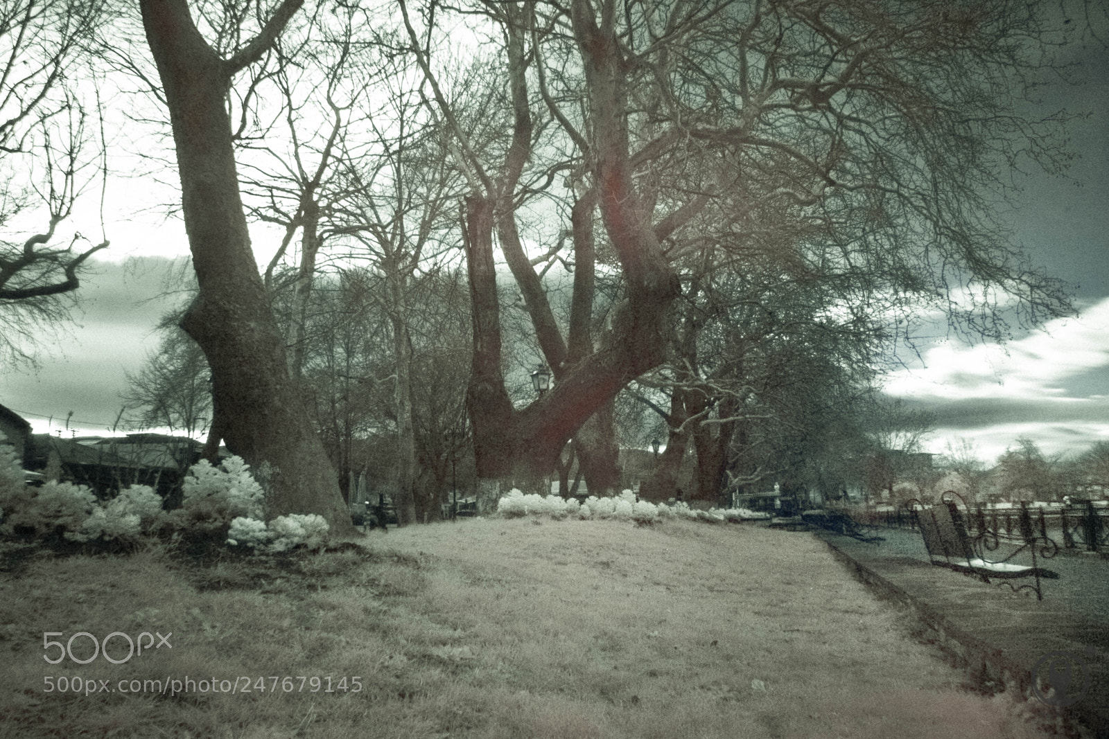 Nikon D3100 sample photo. Ioannina infrared 2 photography