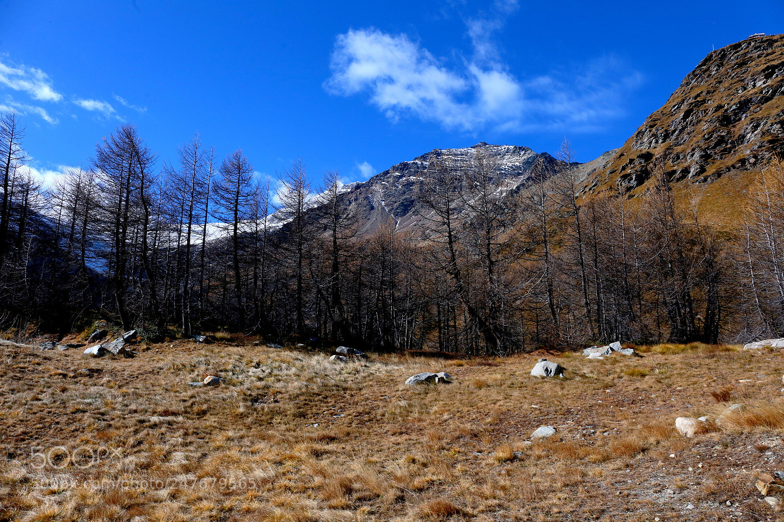 Canon EF 24-70mm F4L IS USM sample photo. Bernina pass photography