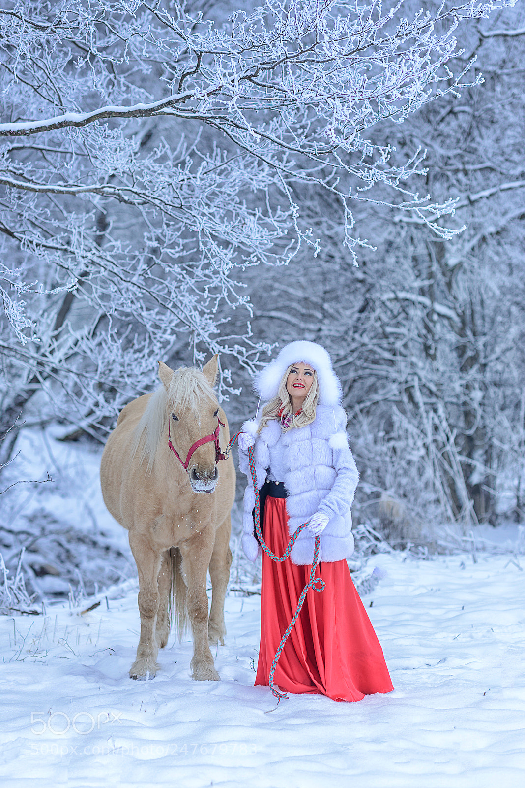 Nikon D610 sample photo. Прогулка зимой photography