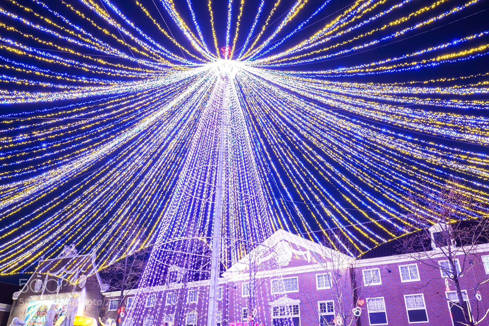 Sony a7R II sample photo. Xmas tree of huis photography