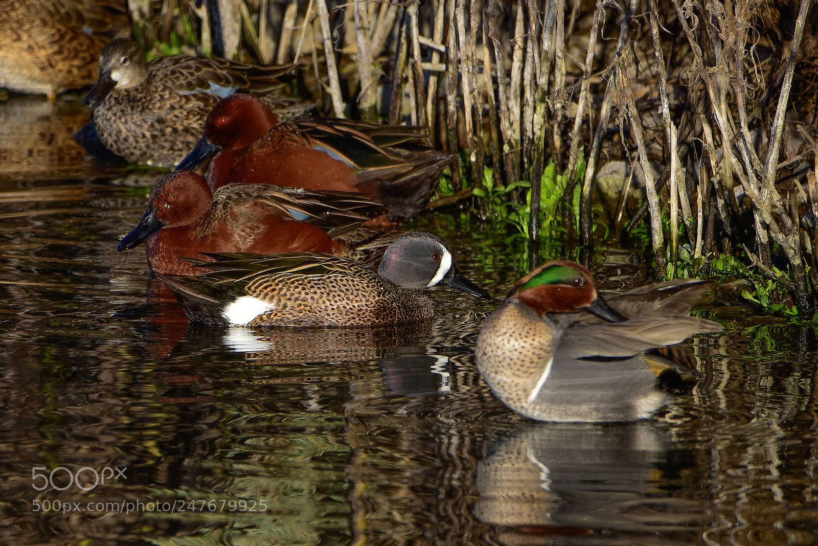 Nikon D810 sample photo. One in a million photography
