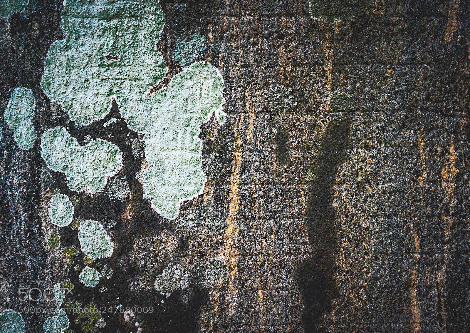 Canon EOS 600D (Rebel EOS T3i / EOS Kiss X5) sample photo. The forgotten temple #38 photography
