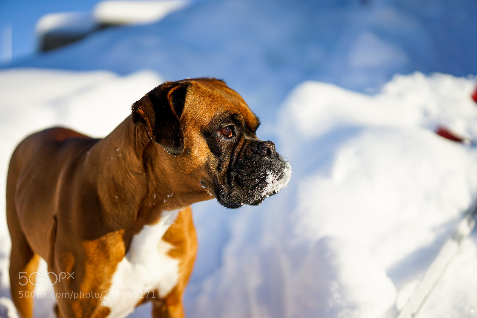 Sony a7 II sample photo. Sunbeams photography
