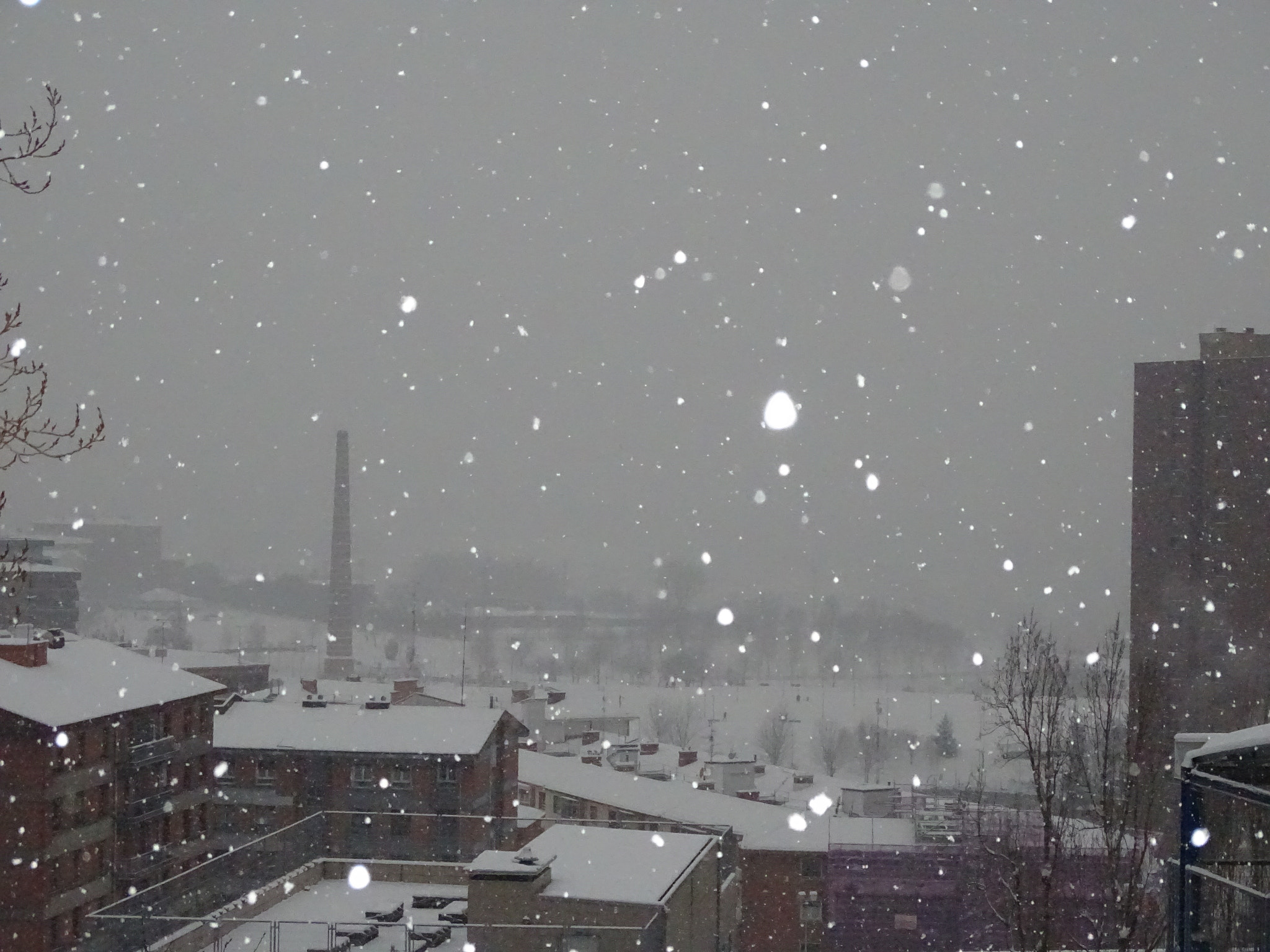 Sony Cyber-shot DSC-HX350 sample photo. Snowing ❄️ photography