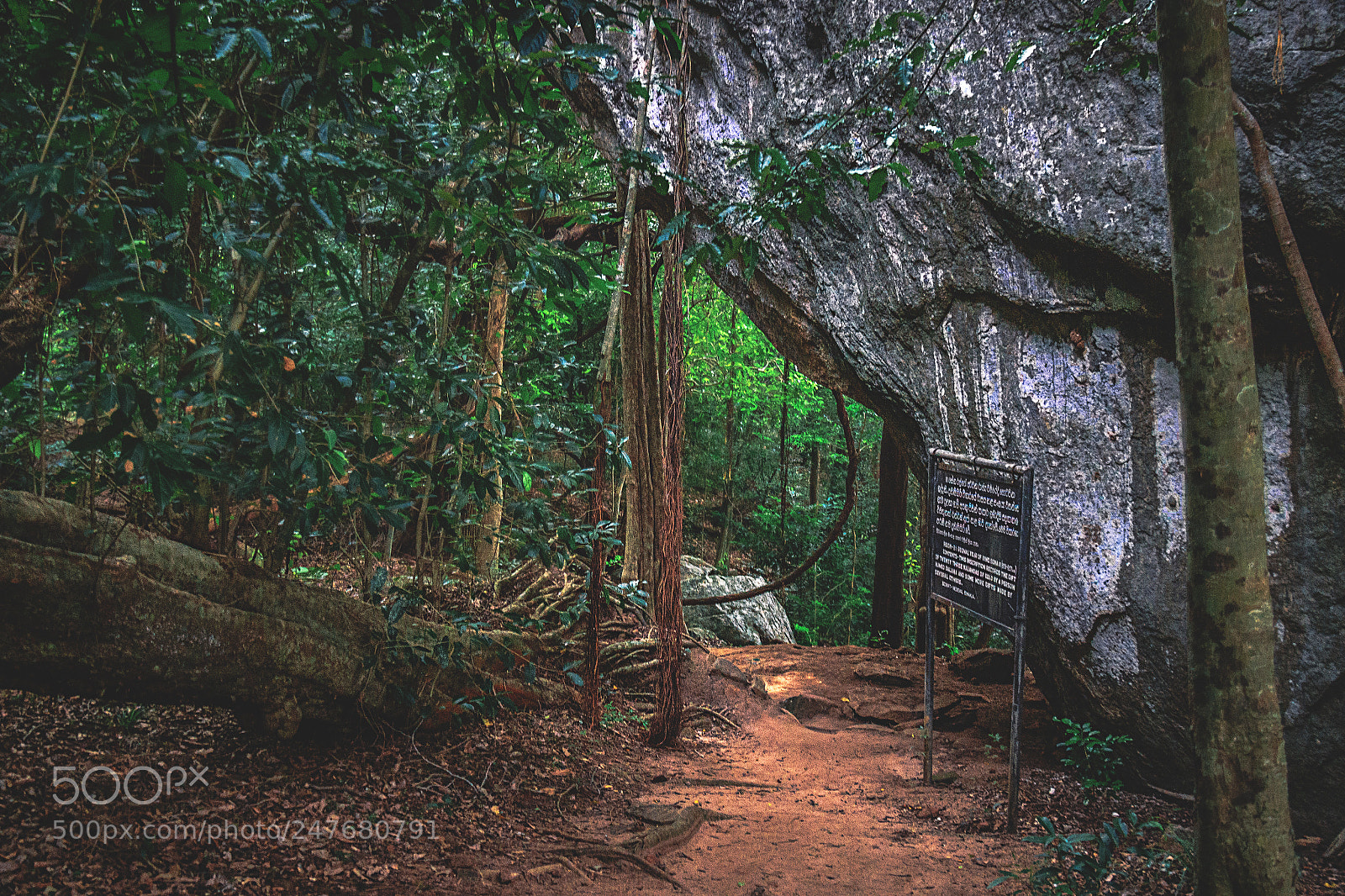 Canon EOS 600D (Rebel EOS T3i / EOS Kiss X5) sample photo. The kaludiya pokuna forest photography