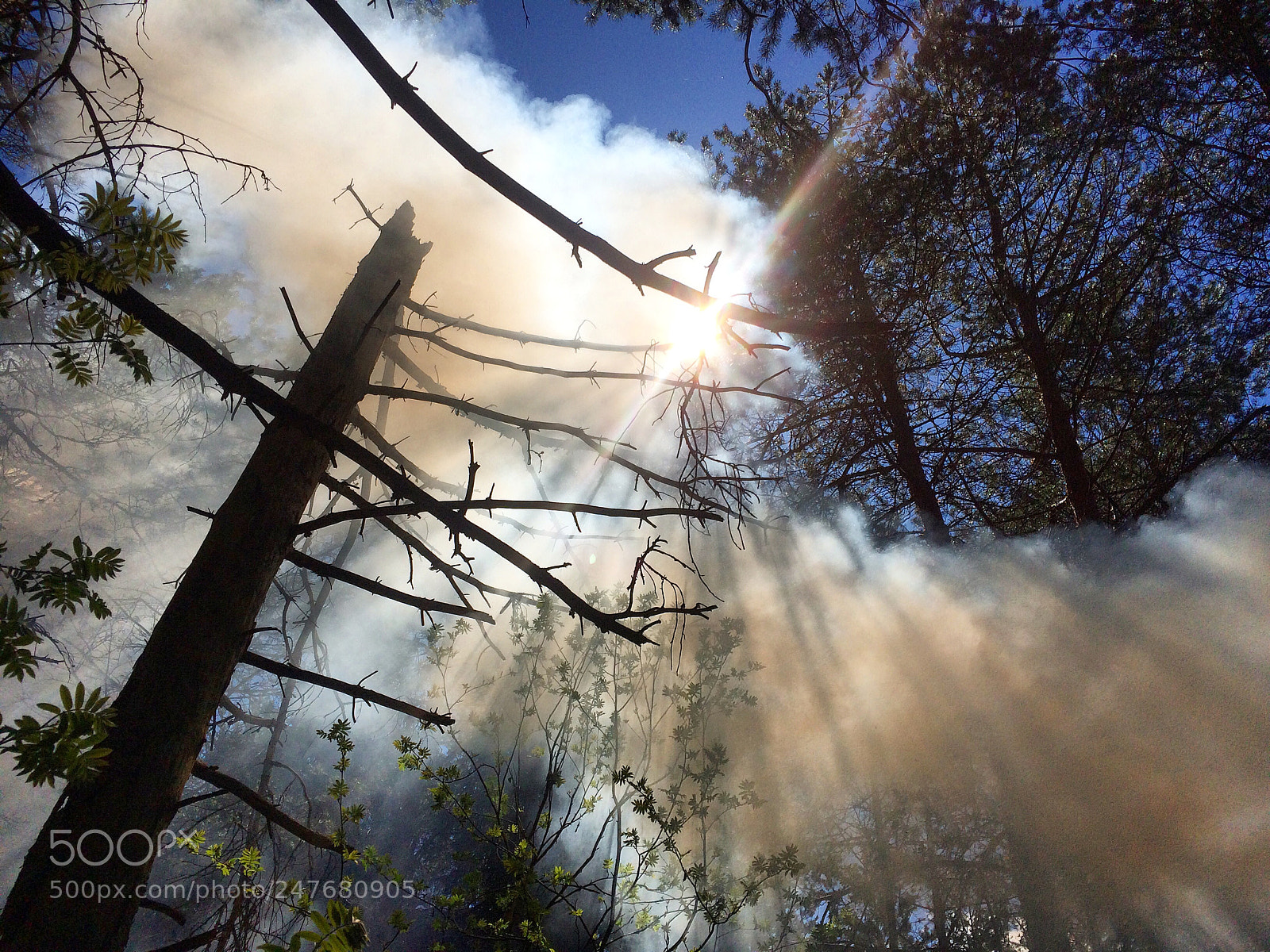 Apple iPhone 5s sample photo. Magic fog photography
