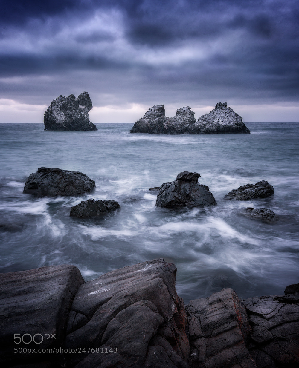 Nikon D610 sample photo. Stormy photography