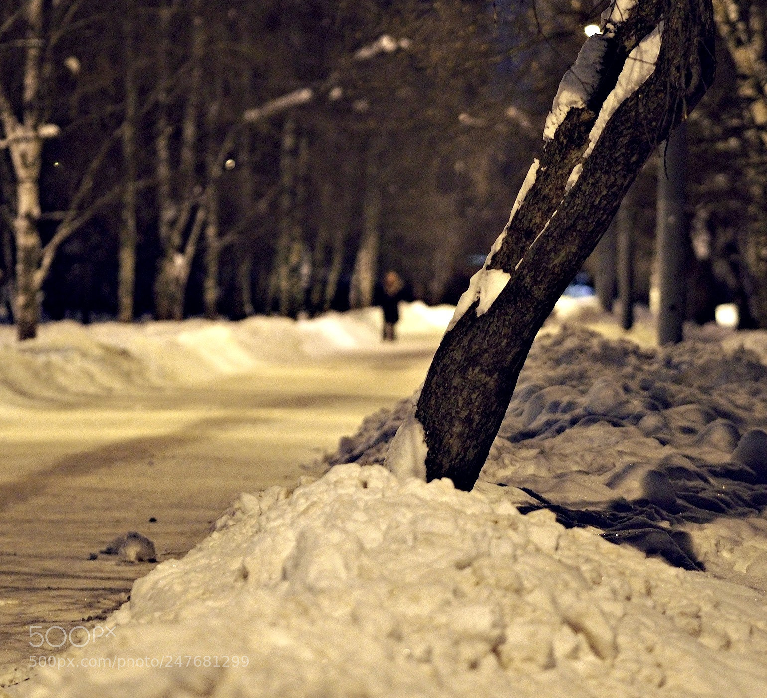 Olympus PEN E-P5 sample photo. Winter boulevard photography