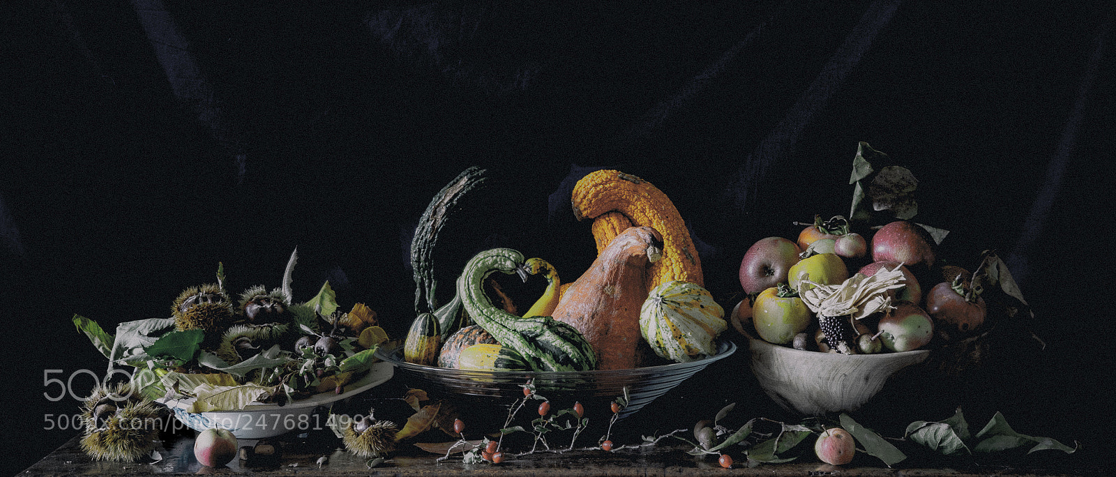 Sony a7R sample photo. Autumn feast photography