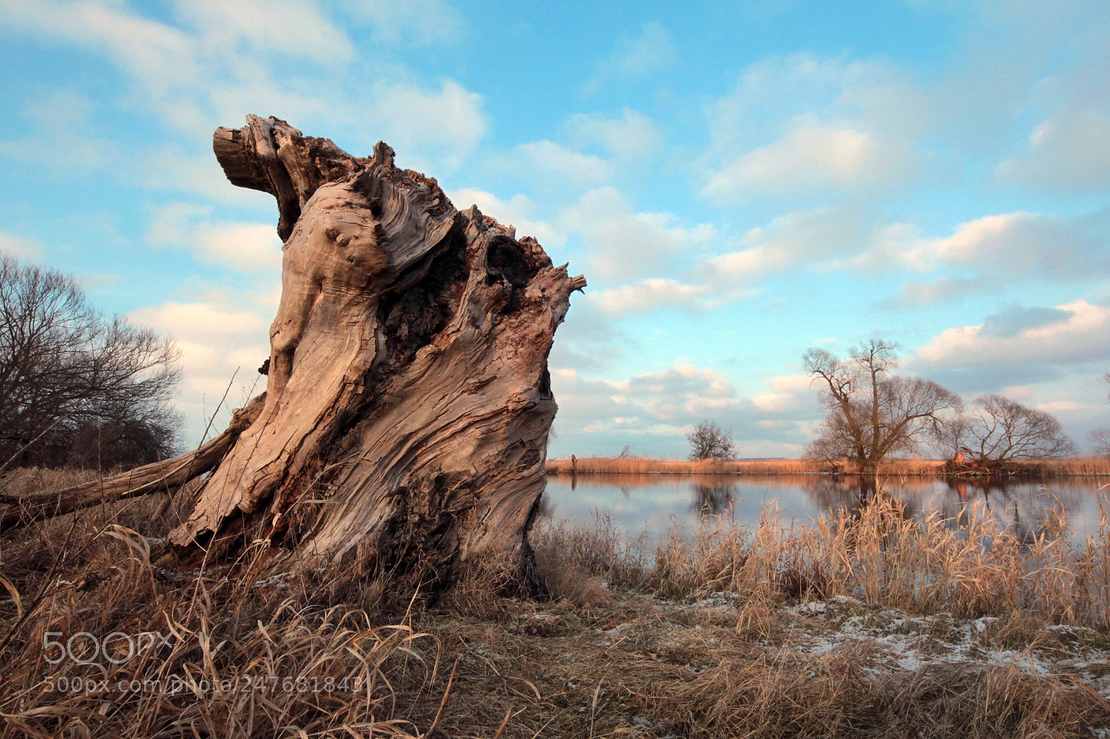 Canon EOS-1D Mark IV sample photo. Untitled photography