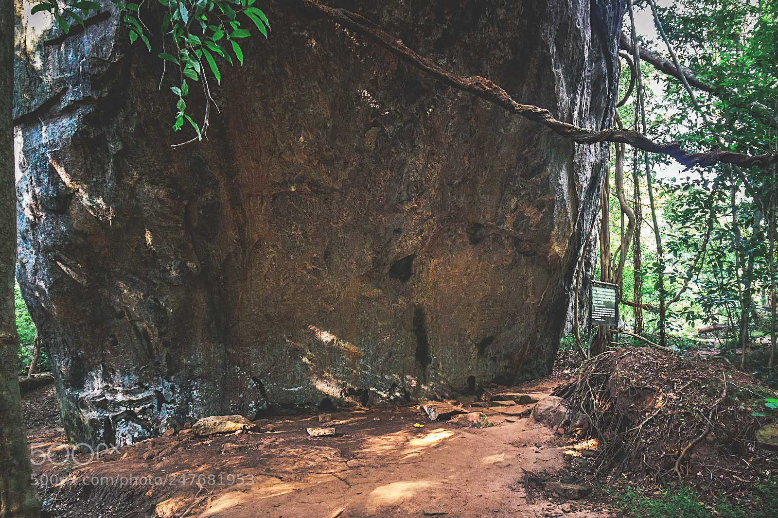 Canon EOS 600D (Rebel EOS T3i / EOS Kiss X5) sample photo. The kaludiya pokuna forest photography