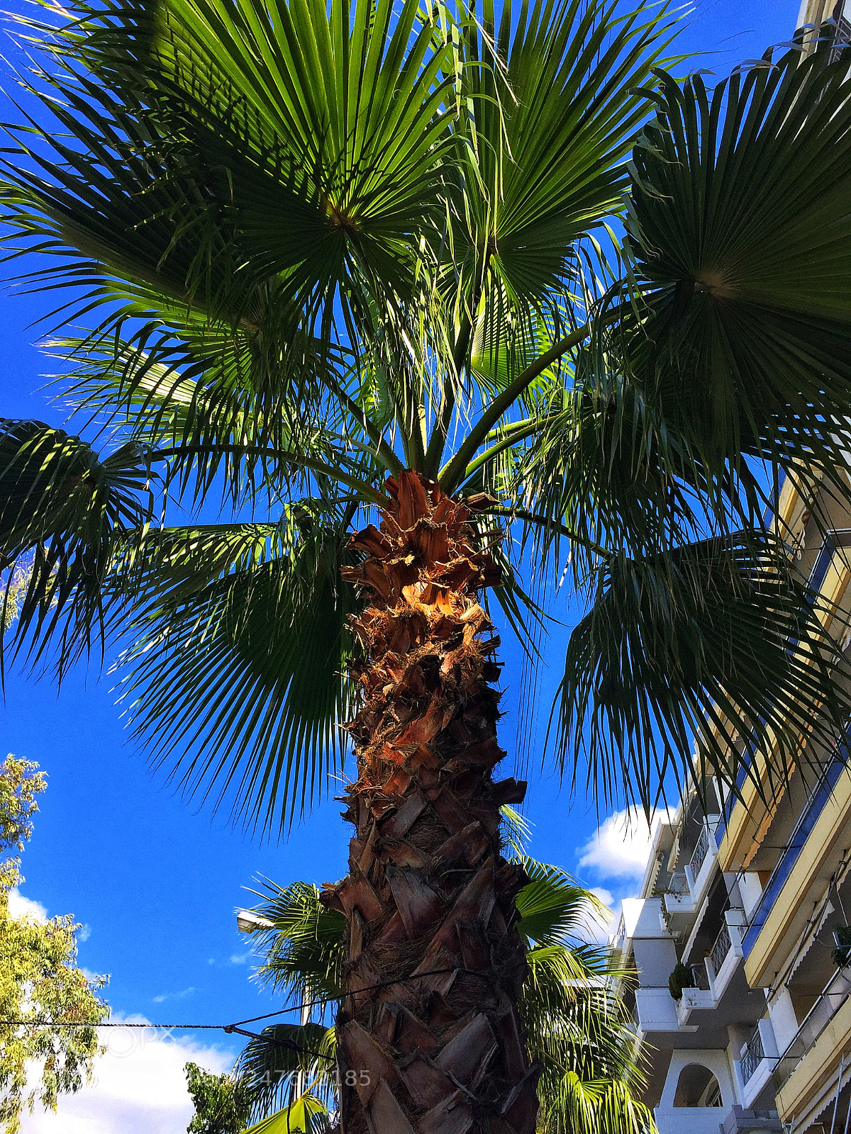 Apple iPhone 6 sample photo. Untitled photography