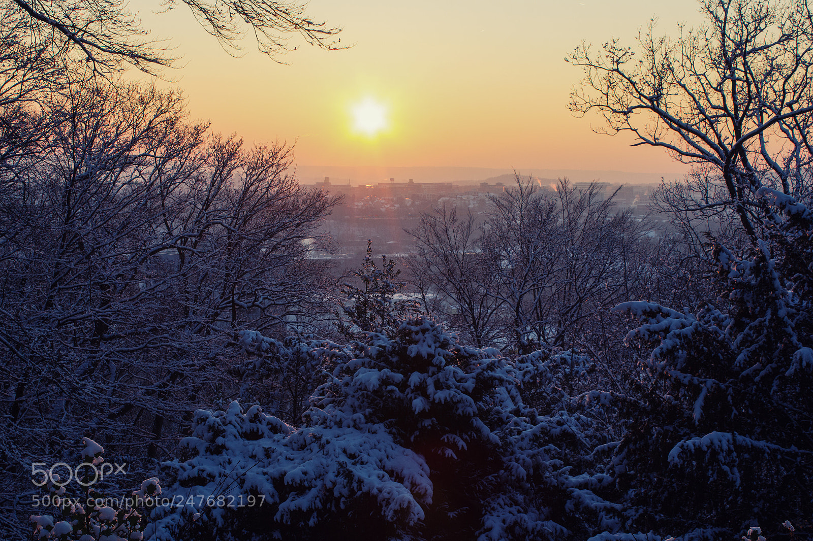 Canon EOS 550D (EOS Rebel T2i / EOS Kiss X4) sample photo. Snowy sunset photography