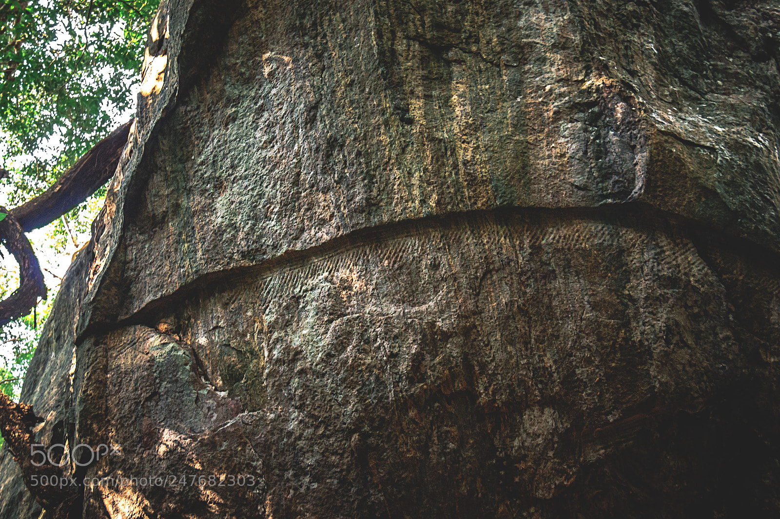 Canon EOS 600D (Rebel EOS T3i / EOS Kiss X5) sample photo. The kaludiya pokuna forest photography