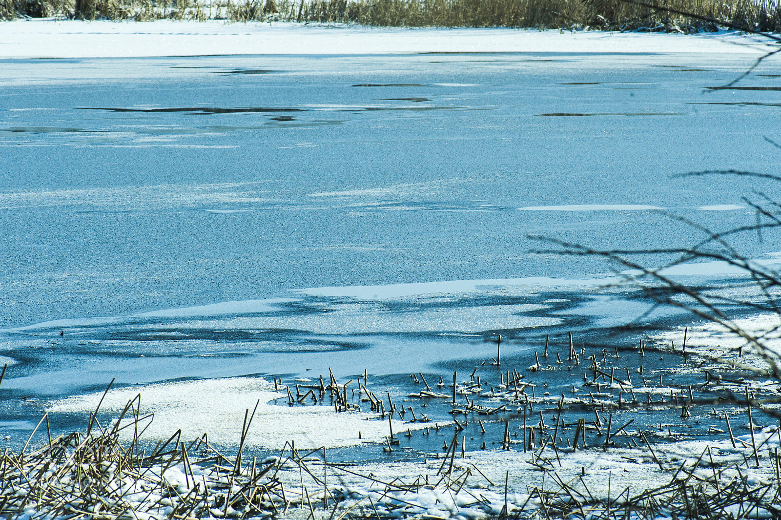 Nikon D700 sample photo. Cold icey river in photography