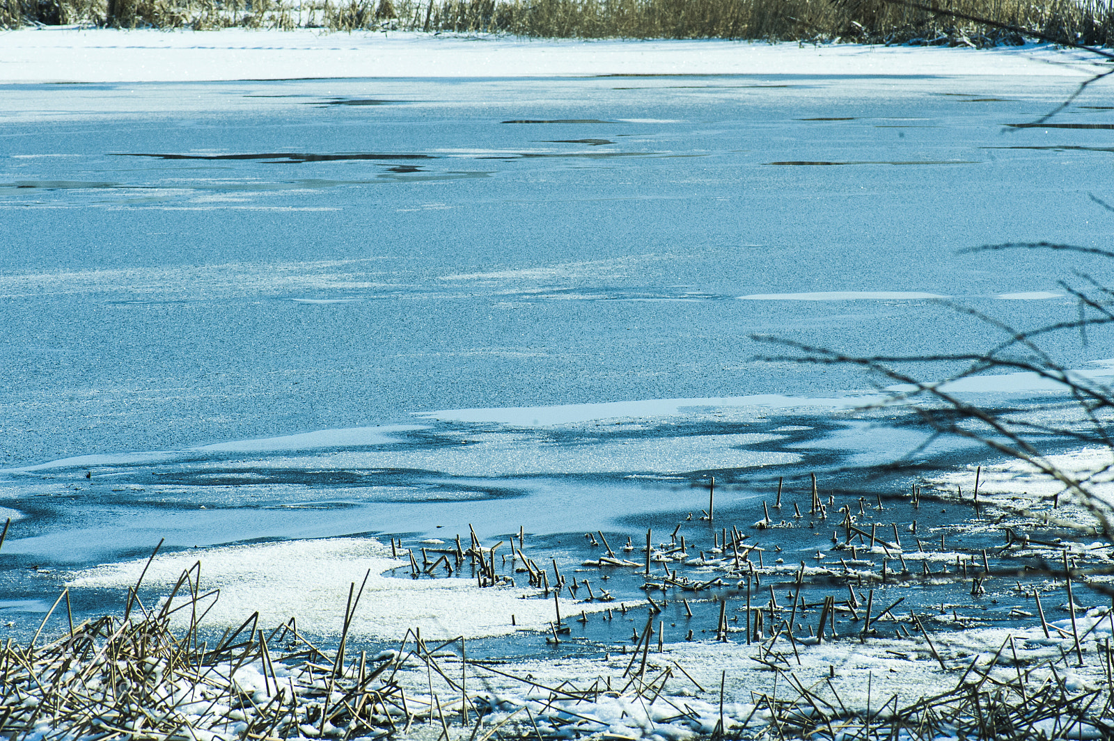 Nikon D700 sample photo. Cold icey river in photography