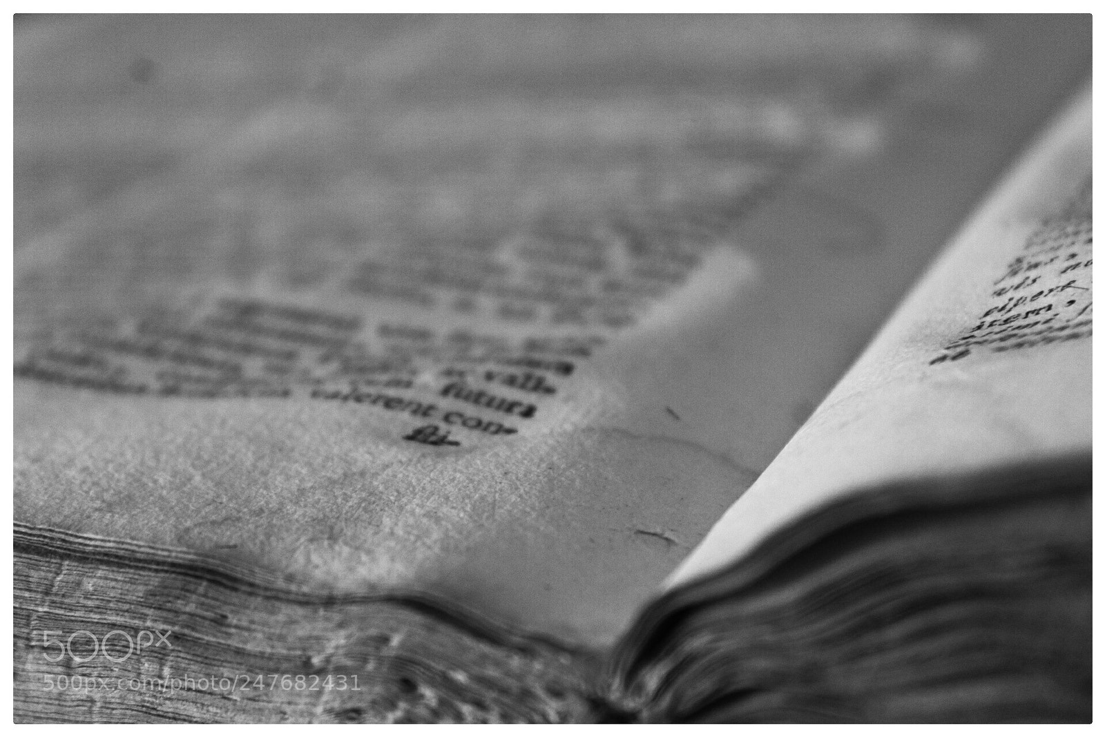 Canon EOS 1300D (EOS Rebel T6 / EOS Kiss X80) sample photo. Old book photography