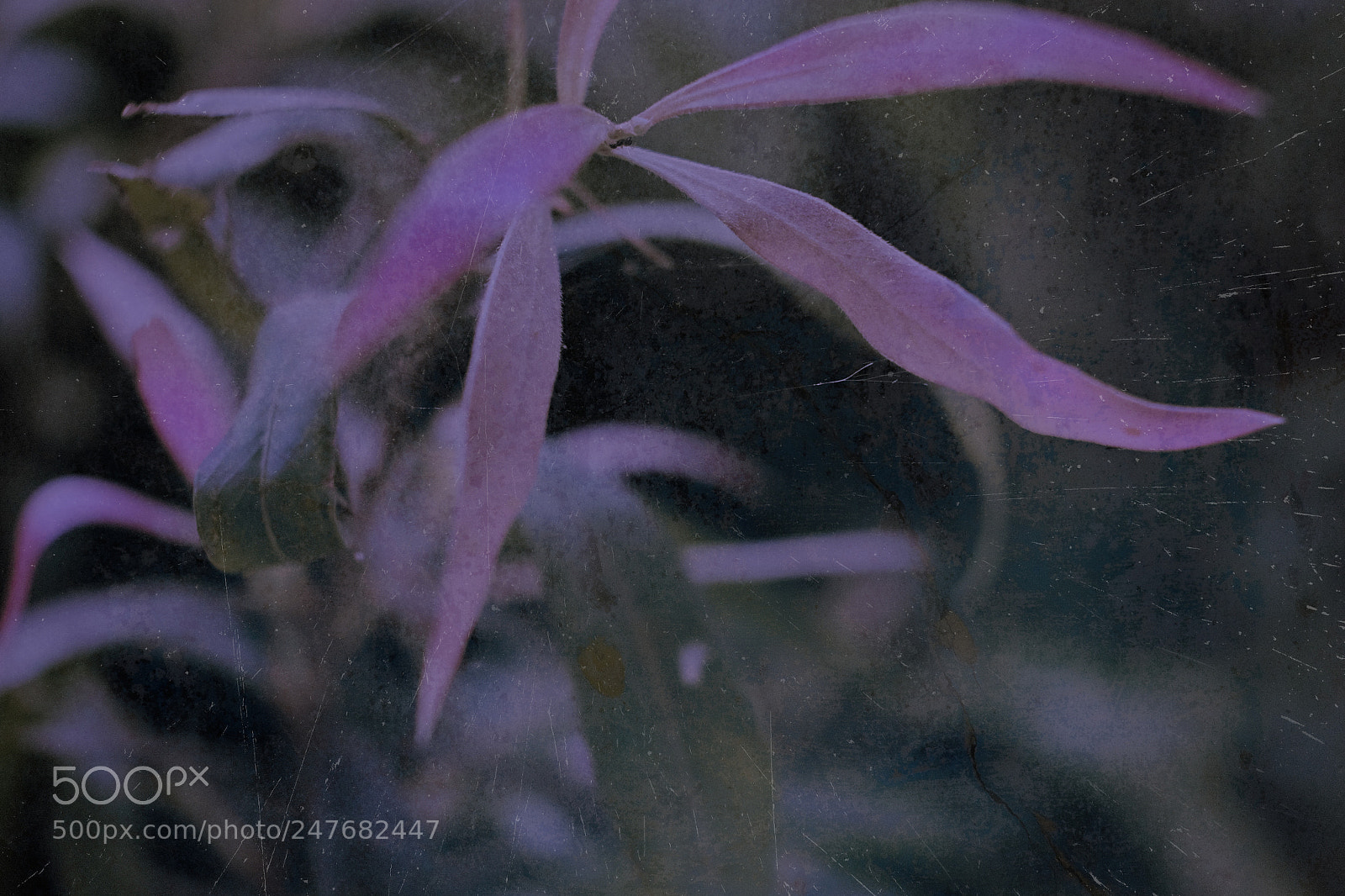 Fujifilm X-T10 sample photo. Pink ribbon photography