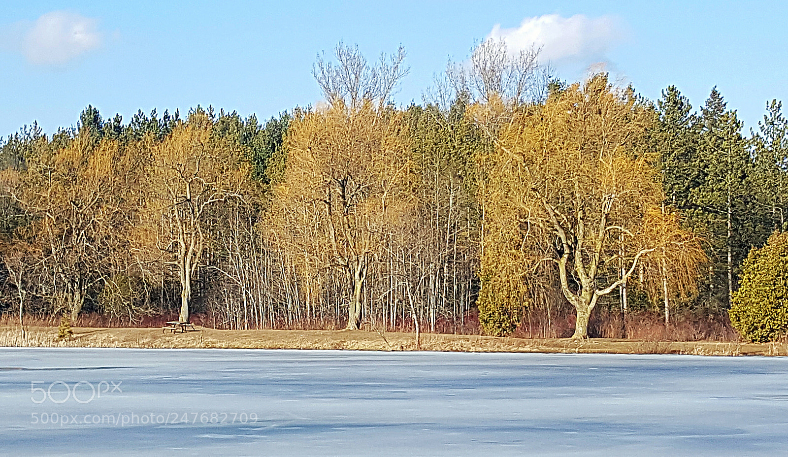 Samsung Galaxy S6 sample photo. Winters end.... photography
