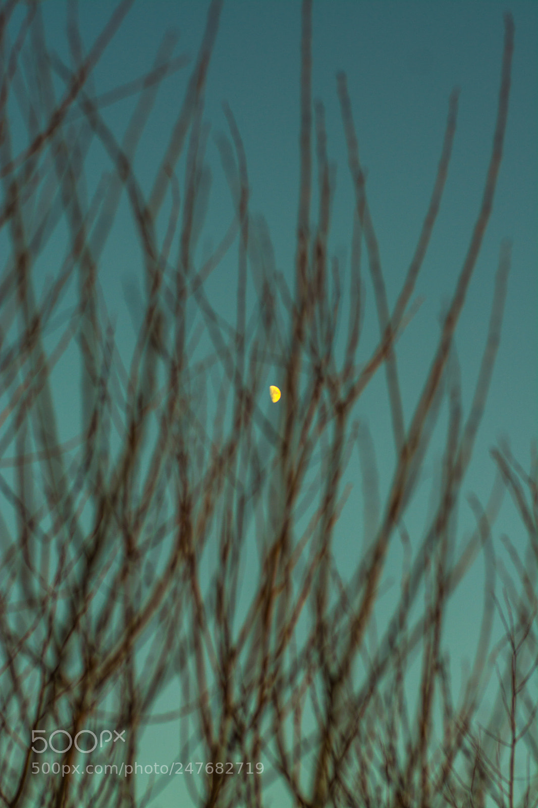 Nikon D7100 sample photo. Moon photography