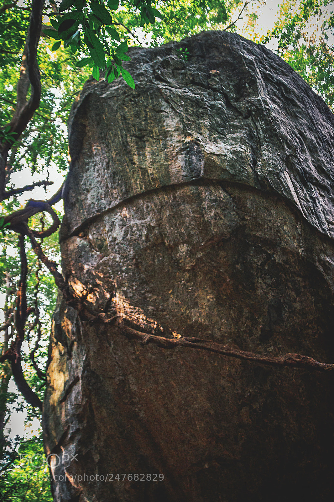 Canon EOS 600D (Rebel EOS T3i / EOS Kiss X5) sample photo. The kaludiya pokuna forest photography