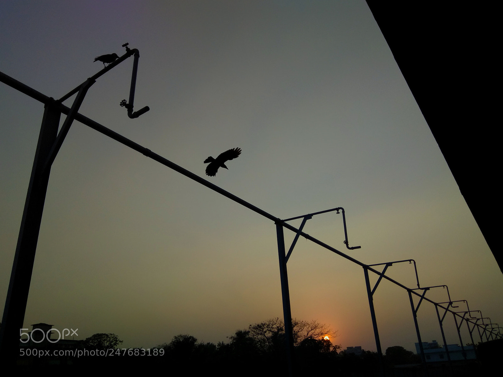 Xiaomi Redmi Note 4 sample photo. Let's go see where photography
