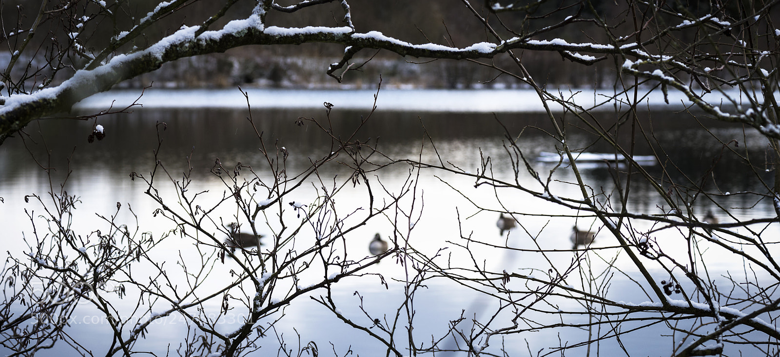Nikon D810 sample photo. Moffat community nature reserve photography