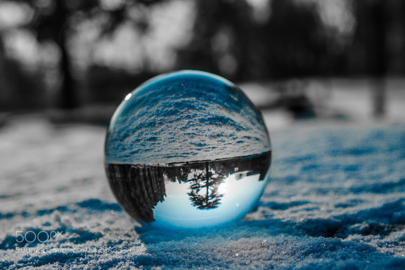 Canon EOS 750D (EOS Rebel T6i / EOS Kiss X8i) sample photo. Snow globe photography