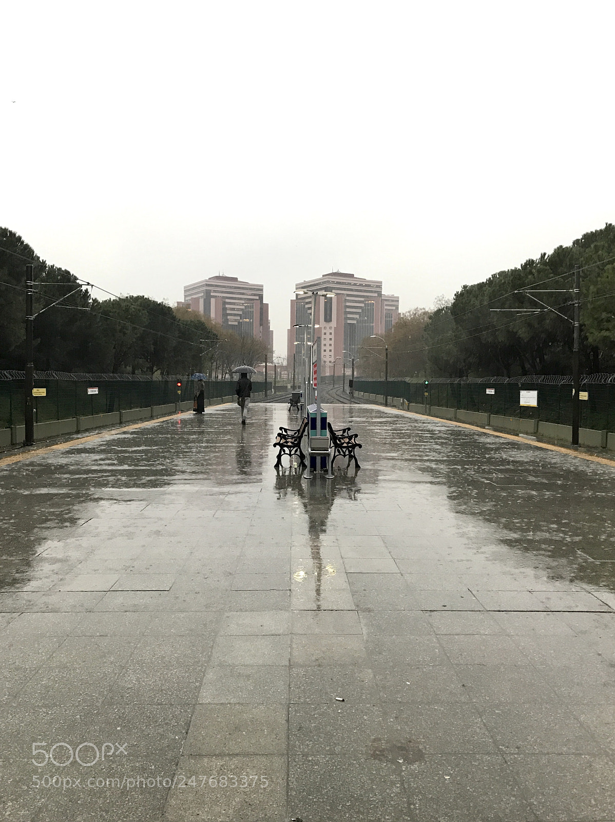 Apple iPhone 7 sample photo. Rainy photography