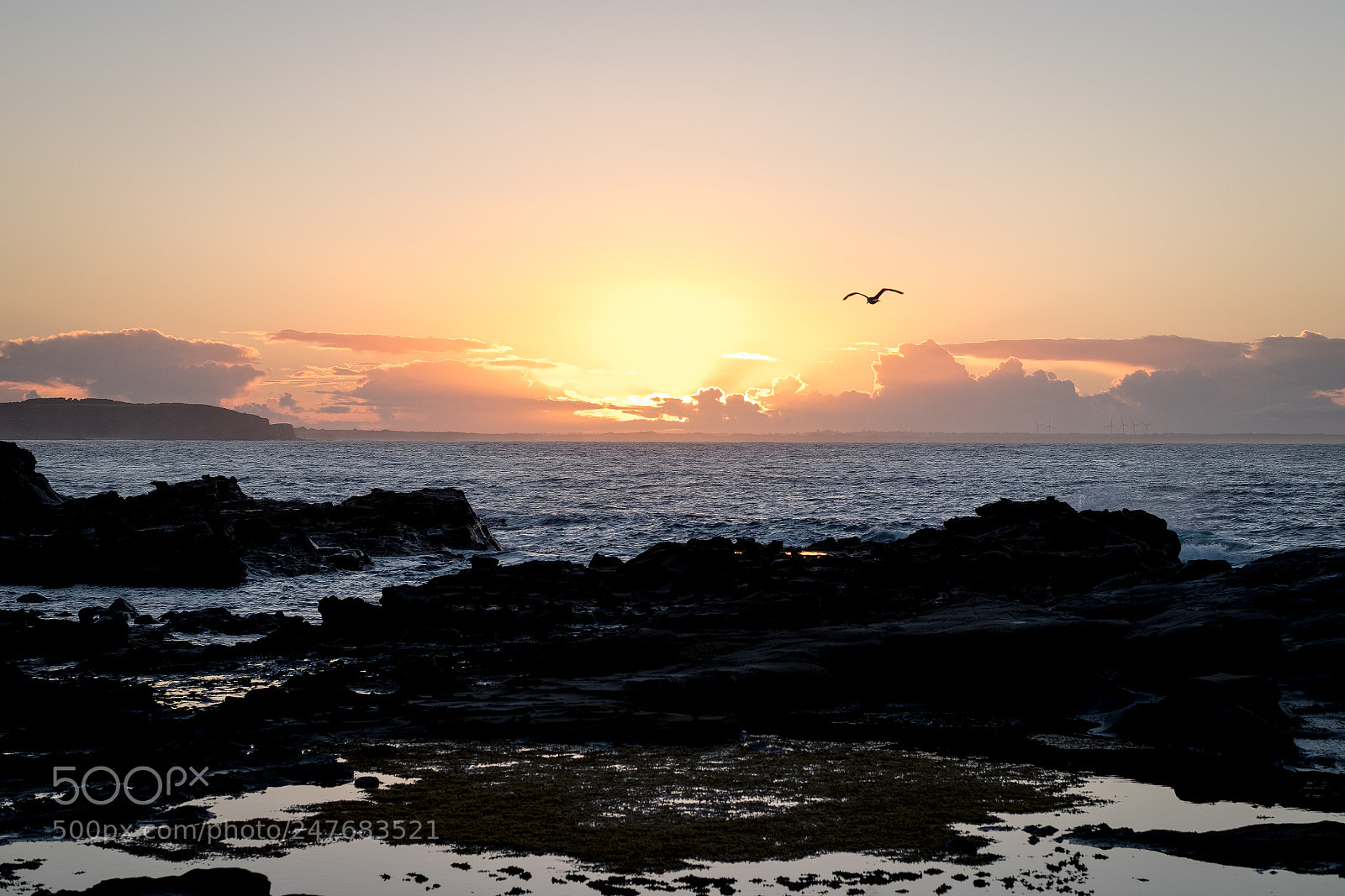 Fujifilm X-T2 sample photo. Into the sunrise photography