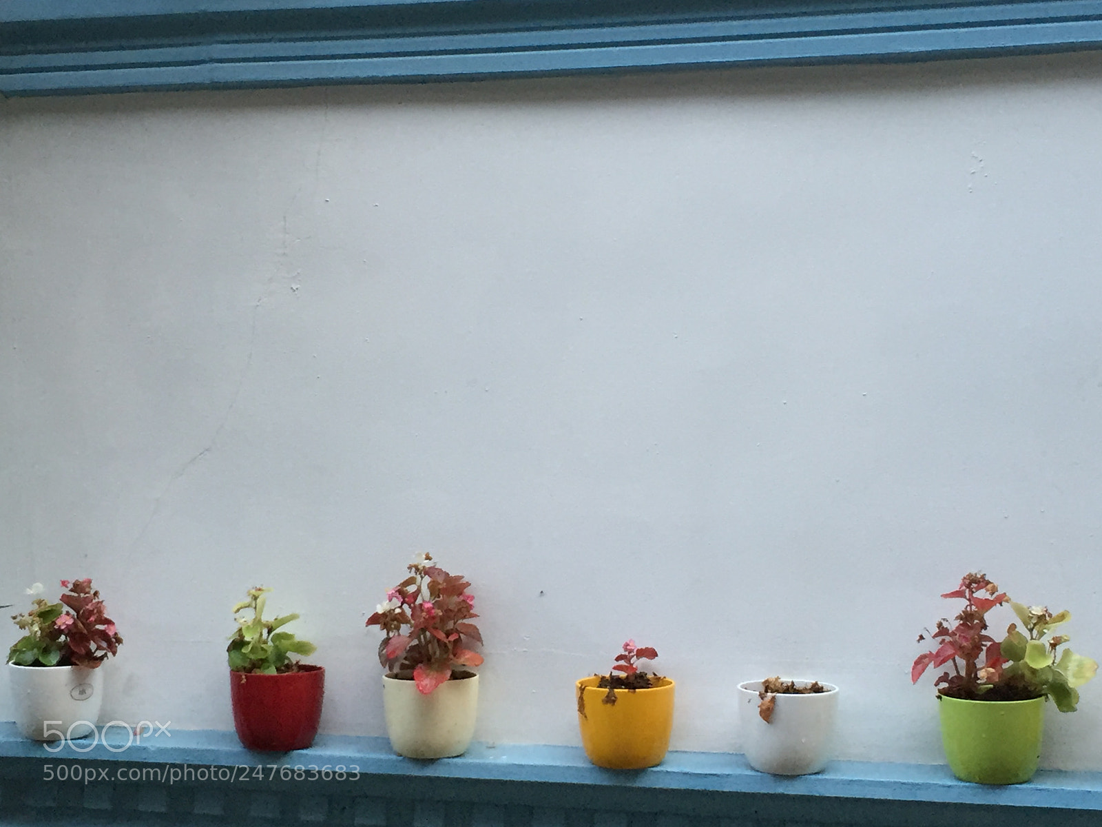 Apple iPhone 6 sample photo. Untitled photography