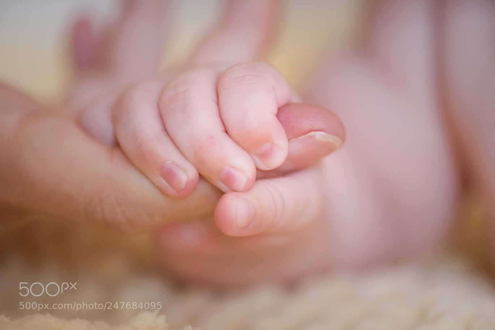 Nikon D810 sample photo. Hold on photography