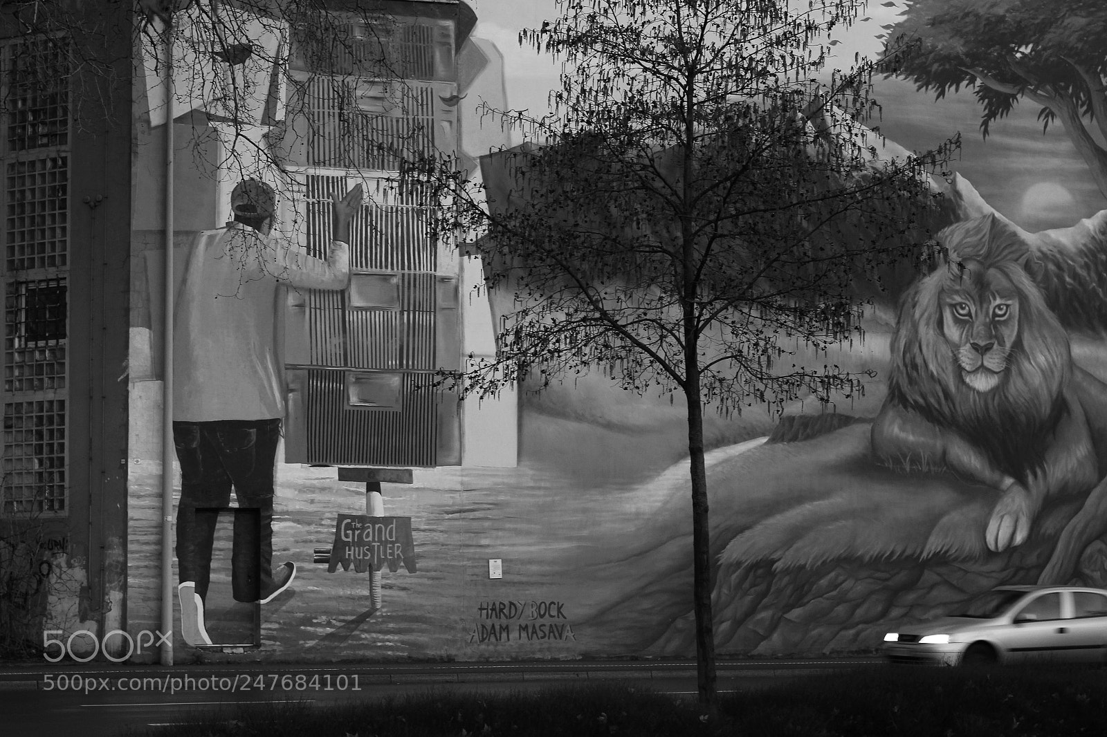Canon EOS 550D (EOS Rebel T2i / EOS Kiss X4) sample photo. Street art photography