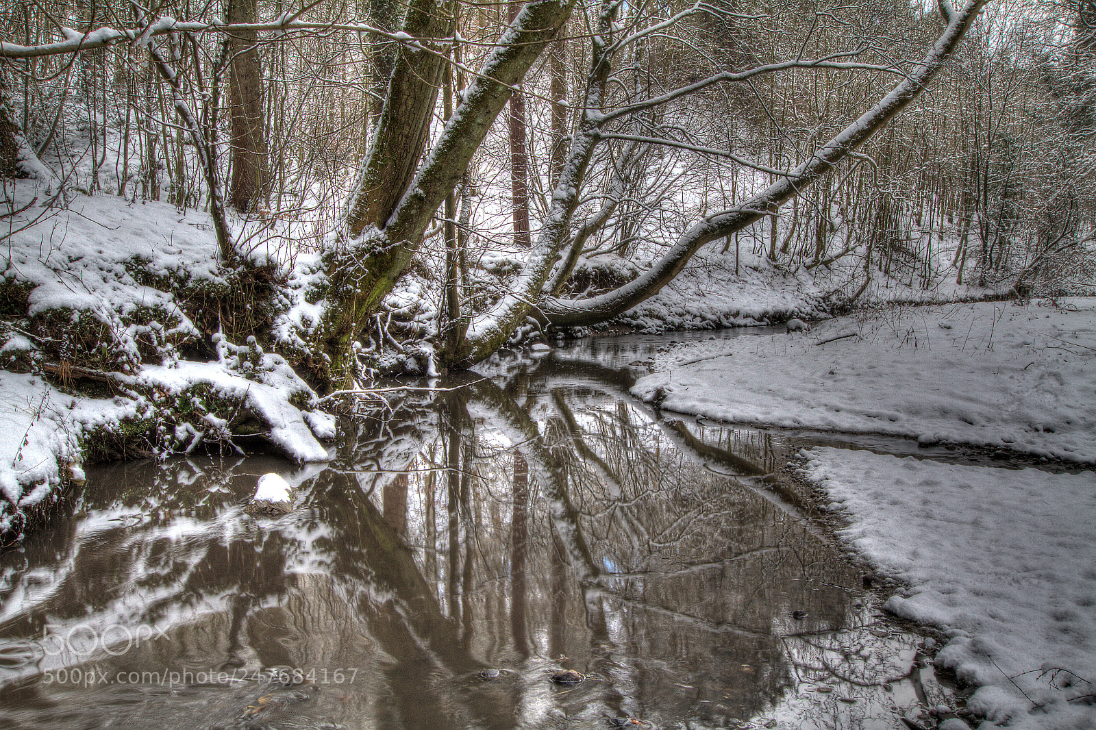 Canon EOS 7D sample photo. Castle eden dene2 photography