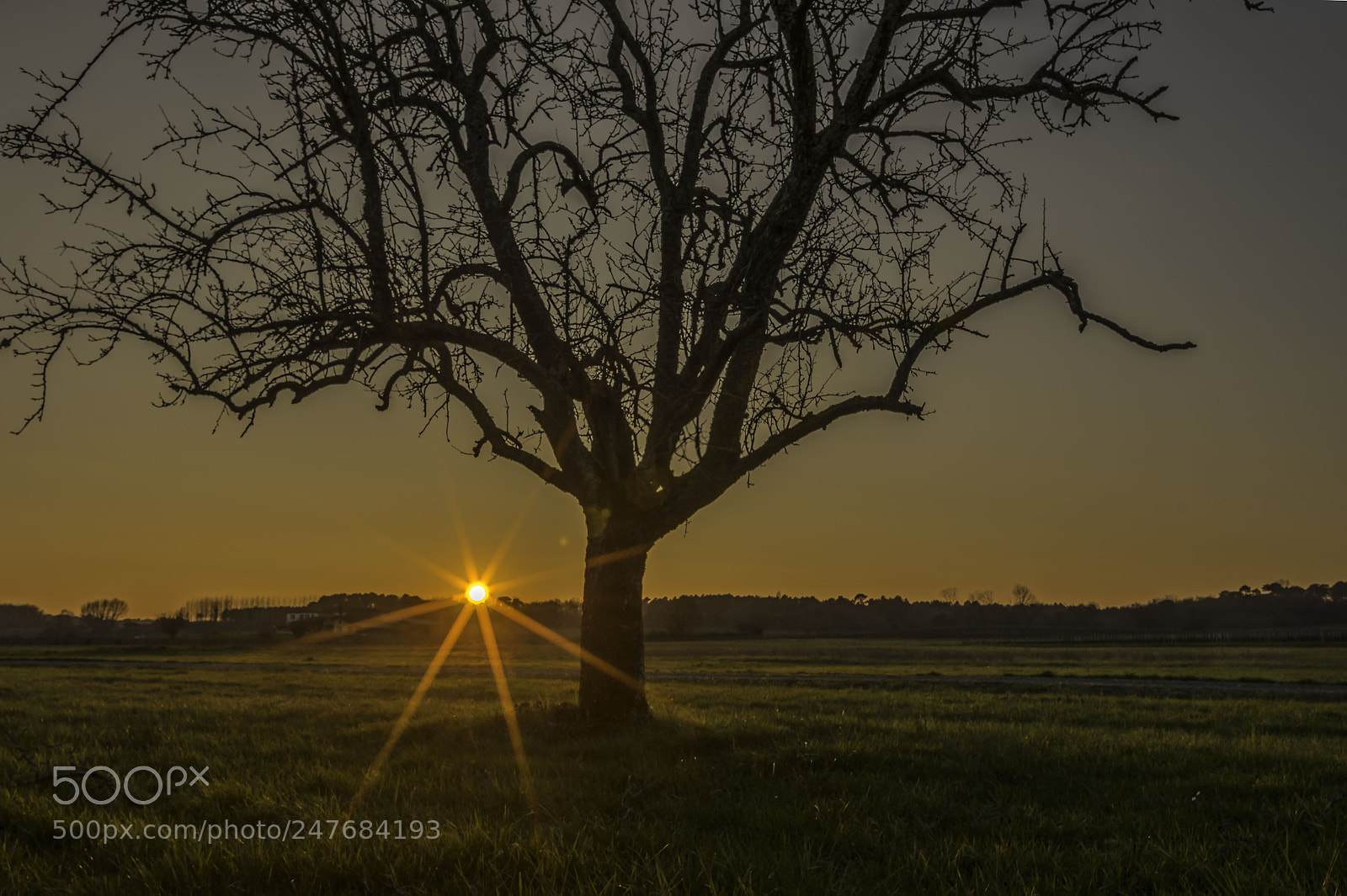 Pentax K-5 II sample photo. Coucher de soleil photography