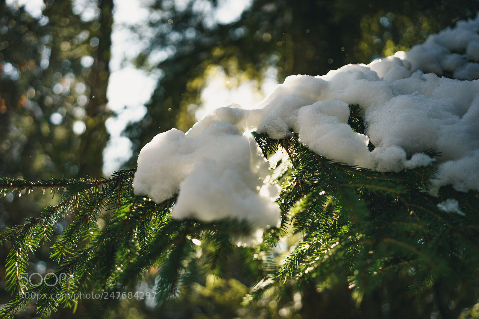 Sony a7 sample photo. Golden light photography